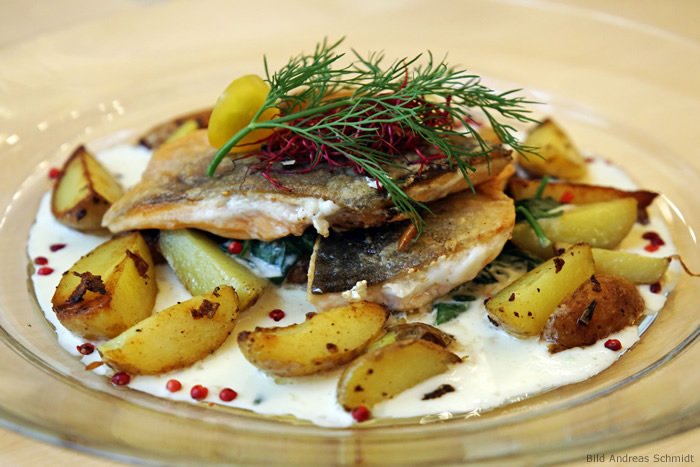 Gebratenes Lachsforellenfilet auf grünem Gemüse